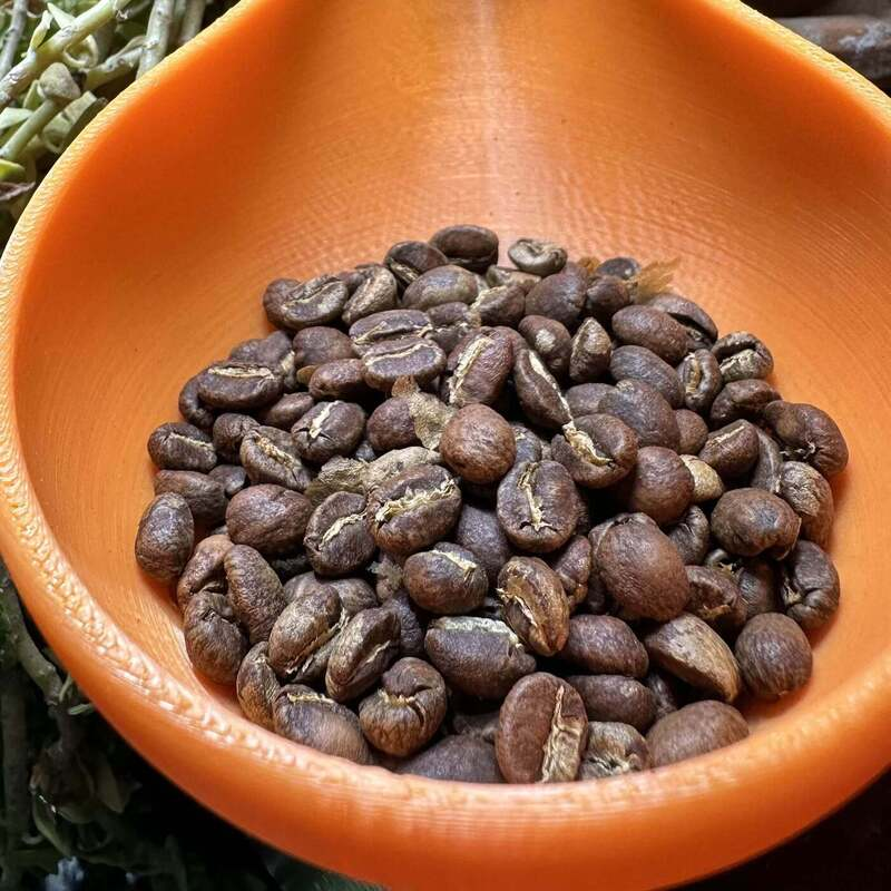 Hada Molecha - light roast, washed, berry tea with plum notes, slight citrus & mild sweetness