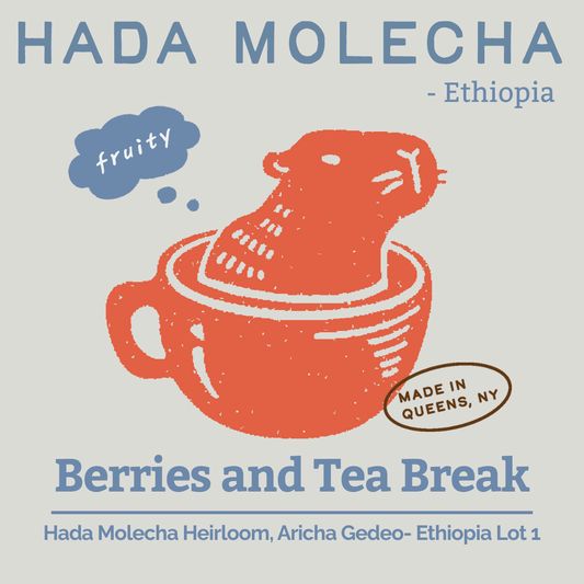 Hada Molecha - light roast, washed, berry tea with plum notes, slight citrus & mild sweetness