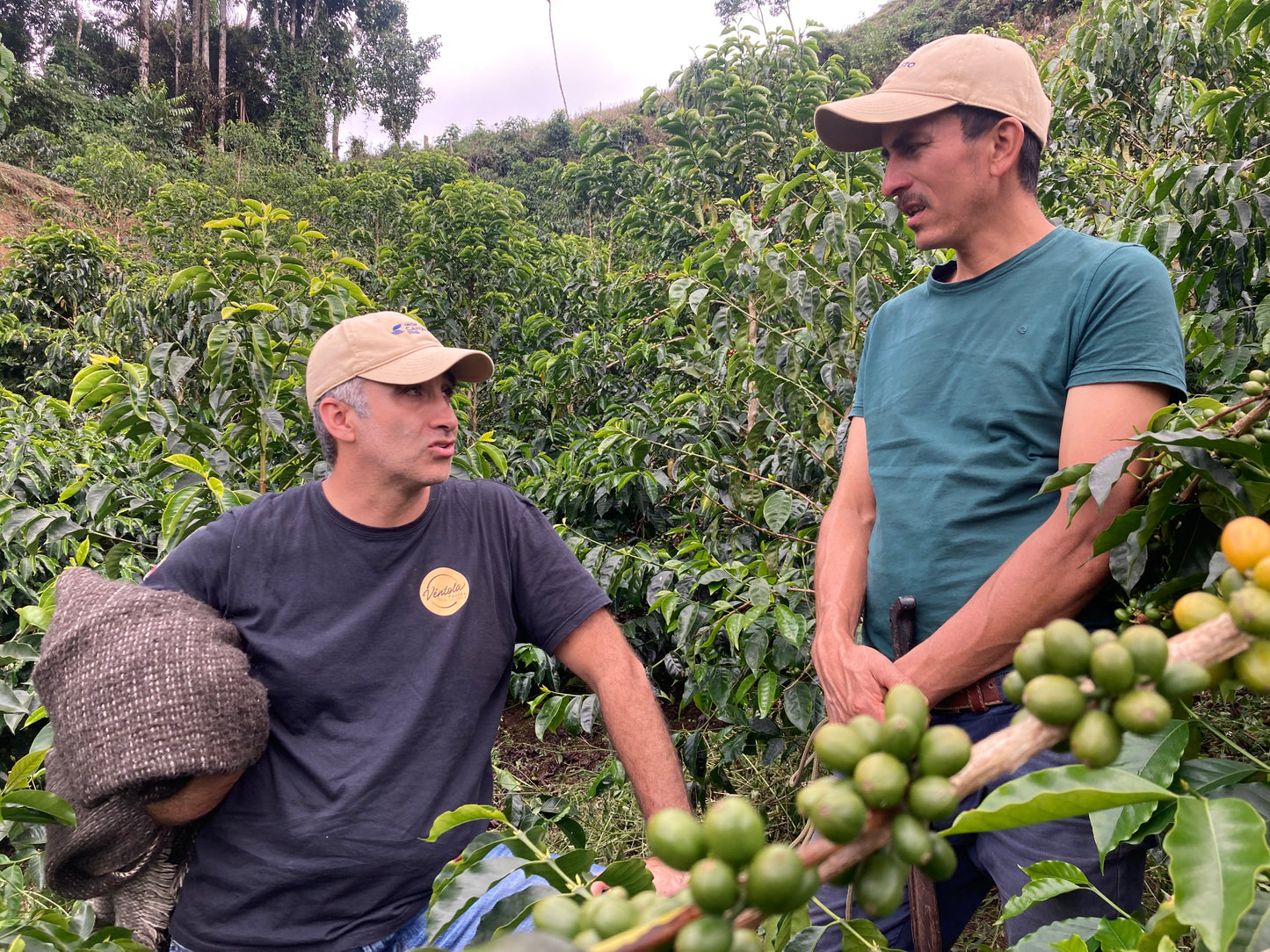 Colombia - Norbey Quimbayo Pink Bourbon Semi Washed Experimental