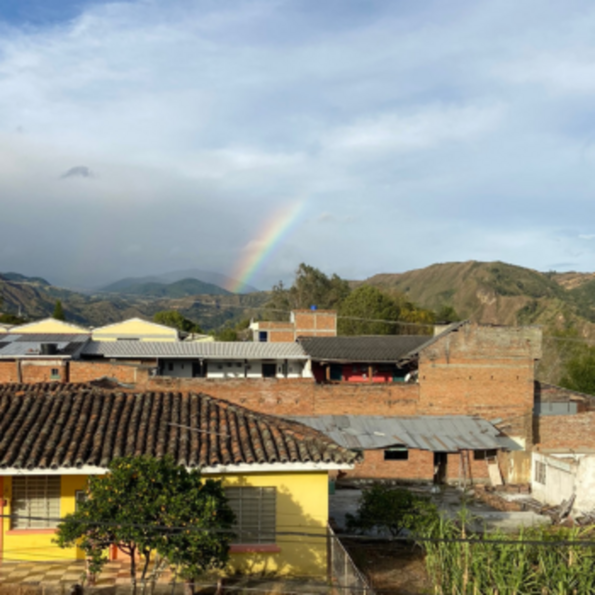 Colombia Narino Sareni - med-light roast, washed process, milk chocolate , tangerines, almonds