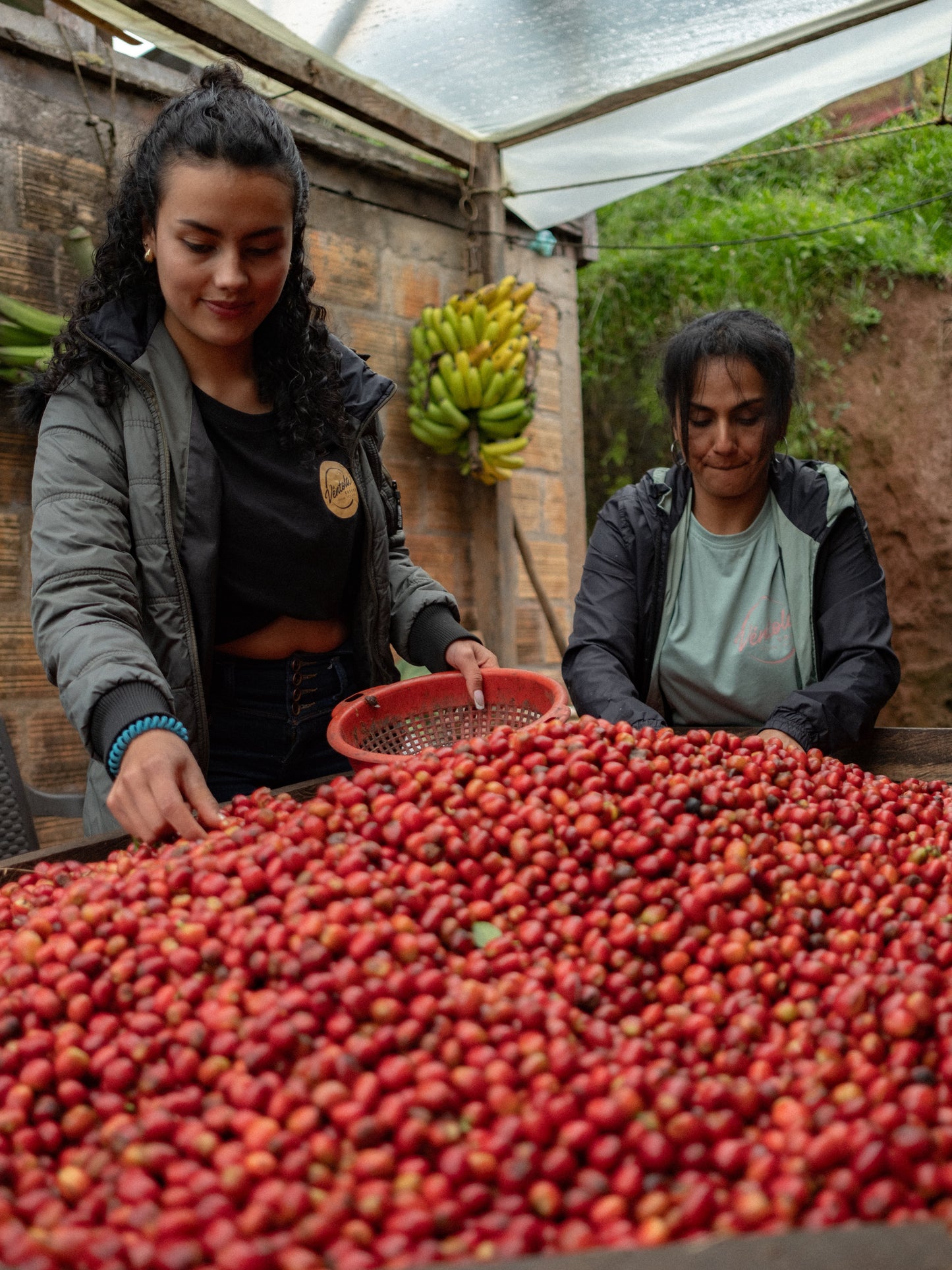 Colombia - Norbey Quimbayo Pink Bourbon Semi Washed Experimental