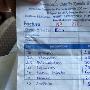 Finca Koa Honey Caturra 2025 - med-light roast, honey process, dark chocolate brownie, umami, tart, light woodiness and wine-like stone fruit flavours